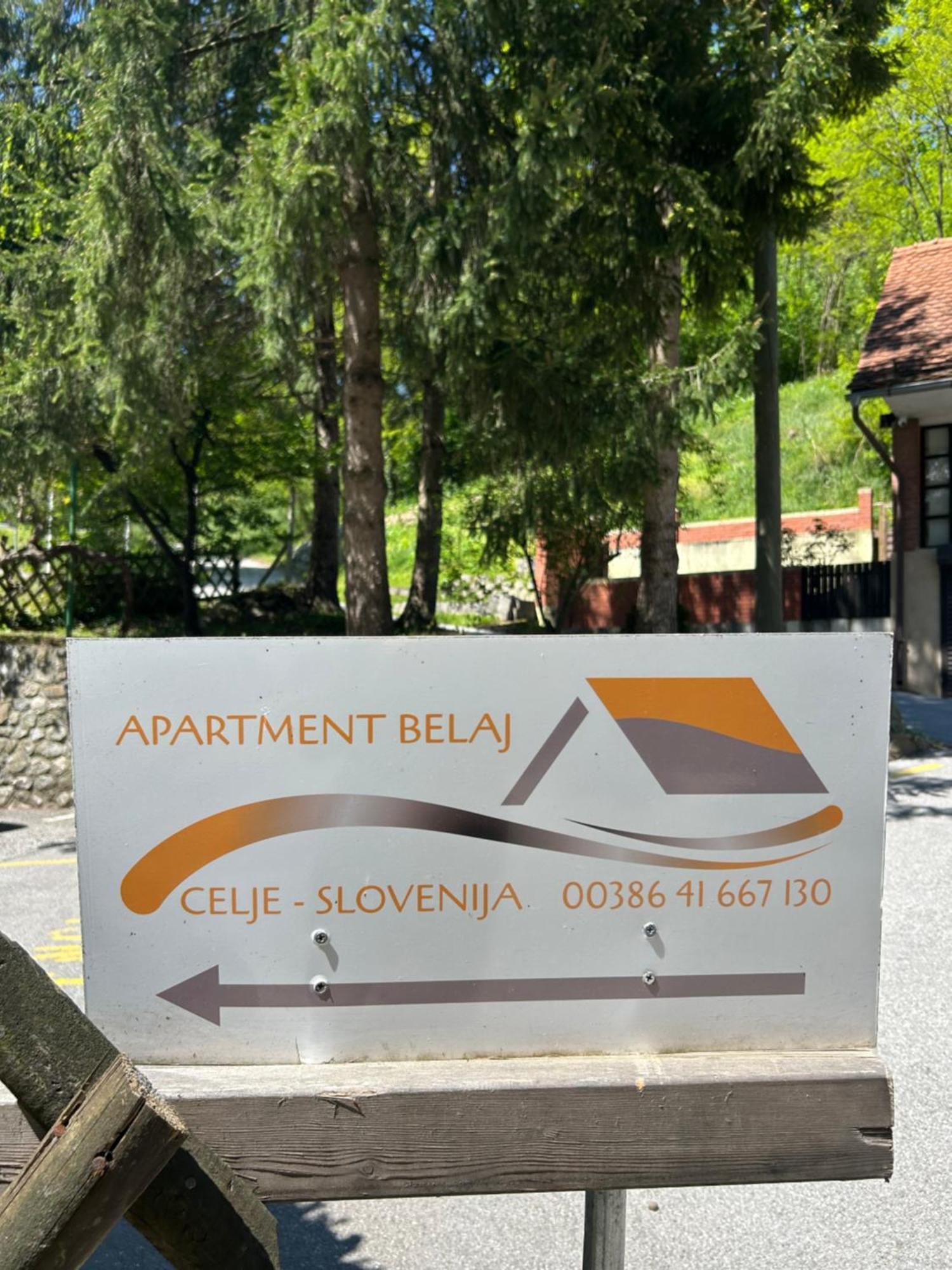Apartment Belaj Celje Ngoại thất bức ảnh
